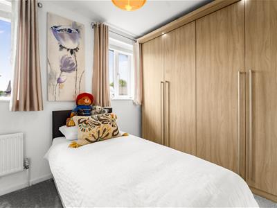 Picture 21